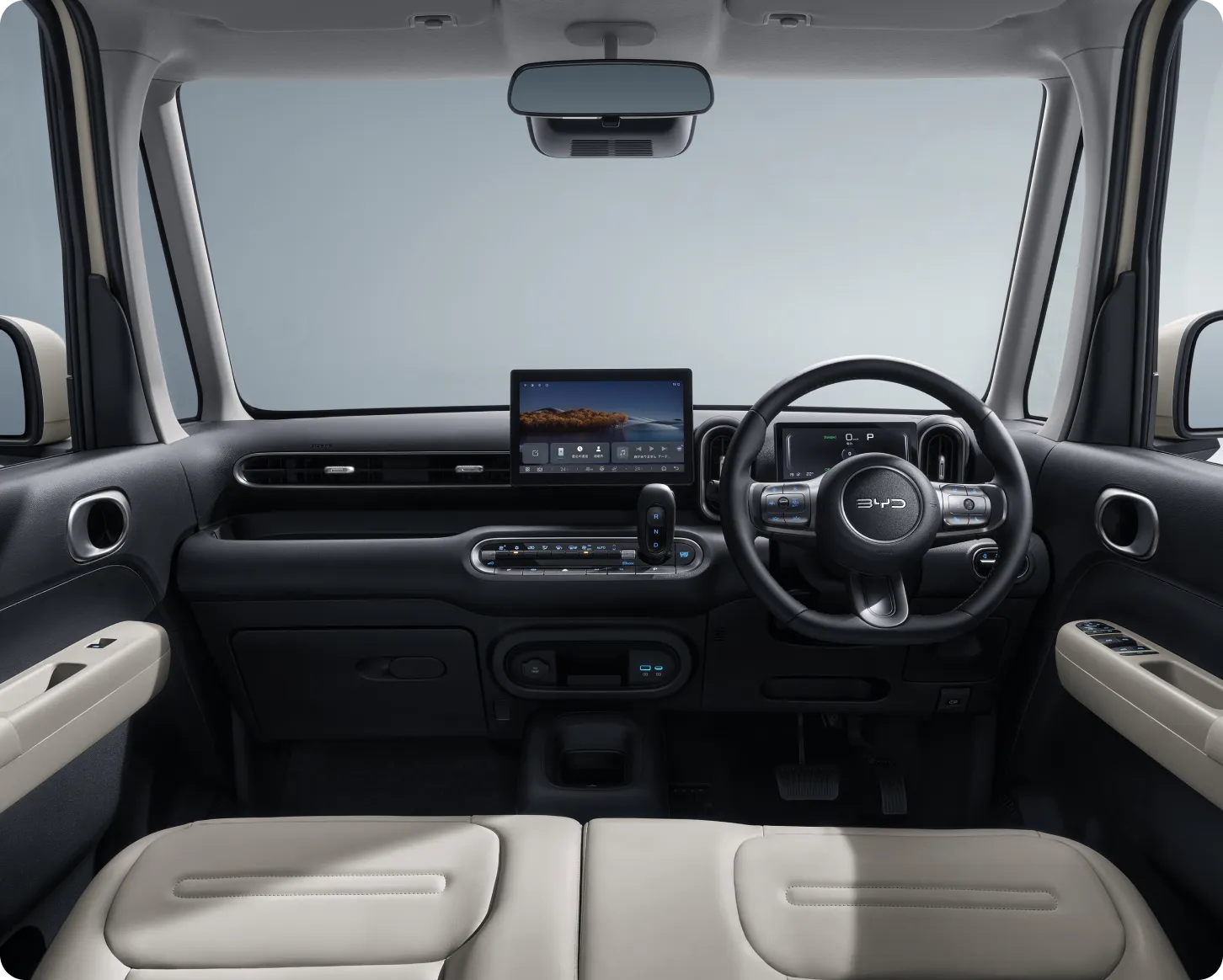 Black & Beige Interior